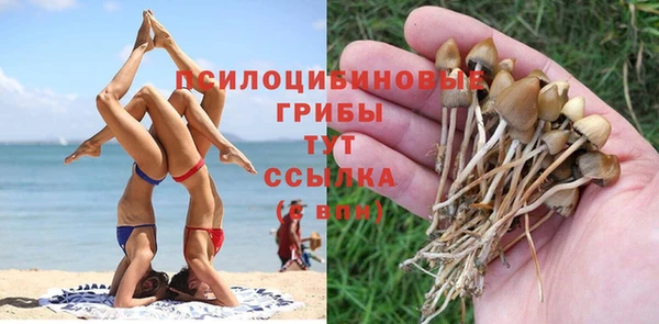 прущий лед Магас