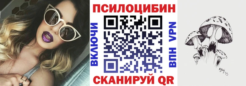 KRAKEN зеркало  Новая Усмань  Псилоцибиновые грибы ЛСД 